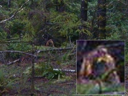 Hóember képek és fotók, leírás Yeti (Yeti) Hóember képek és fotók, leírás Yeti