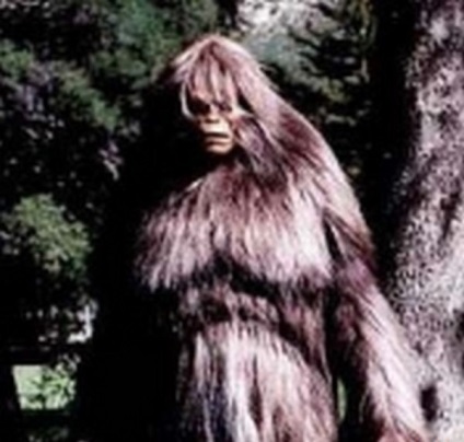 Hóember képek és fotók, leírás Yeti (hó) Hóember képek és fotók, leírás Yeti