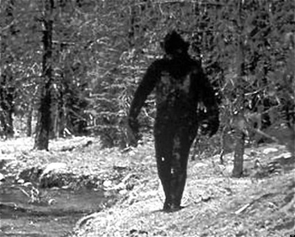 Hóember képek és fotók, leírás Yeti (fő) Hóember képek és fotók, leírás Yeti