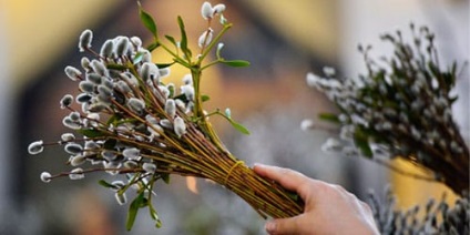 Álomértelmezés Willow Willow az, amit az álmok alvás közben (álom) Álomértelmezés Willow Willow az, amit az álmok alvás közben
