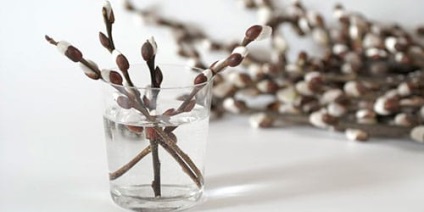 Álomértelmezés Willow Willow az, amit az álmok alvás közben (álom) Álomértelmezés Willow Willow az, amit az álmok alvás közben