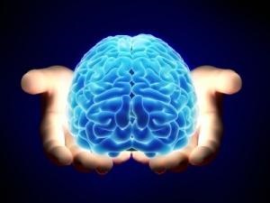 Ability pszichológia veleszületett vagy szerzett tulajdonságok (képességek) Ability pszichológia veleszületett vagy szerzett minőség