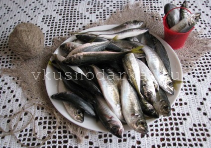 Fekete-tengeri fattyúmakréla sült egy serpenyőben - vidio és receptek, vkusnodarka
