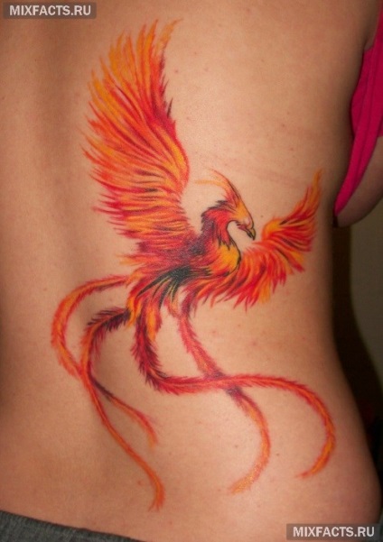 Phoenix tetoválás jelentését és fotók