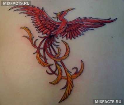 Phoenix tetoválás jelentését és fotók