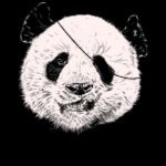 Tattoo panda érték, és a fénykép miniatűr