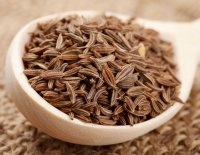 Grass ánizs terápiás tulajdonságainak és ellenjavallatok magvak (ánizs) Grass ánizs gyógyszer tulajdonságait és ellenjavallatok magvak