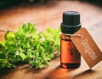 Grass ánizs terápiás tulajdonságainak és ellenjavallatok magvak (tulajdonságok) Grass ánizs gyógyszer tulajdonságait és ellenjavallatok magvak