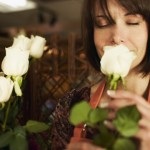 Вирощування розсади на продаж як скласти грамотний бізнес-план і врахувати всі особливості бізнесу