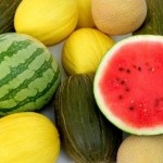Вирощування розсади на продаж як скласти грамотний бізнес-план і врахувати всі особливості бізнесу