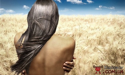 Harm vagy haszon Hair lamináló (kár vagy haszon haj laminálás) Harm vagy haszon Hair lamináló