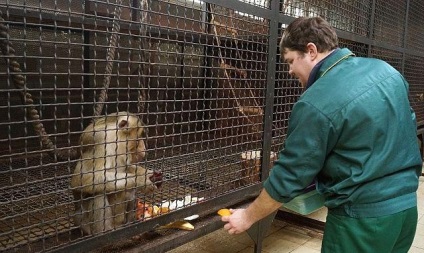 Zoo Kijev jegy ára, menetrend, fotók, hivatalos honlapján, cím és vélemények