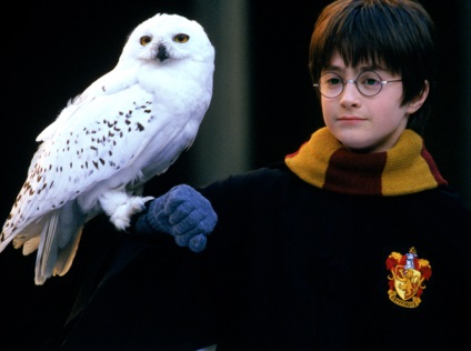 10 Tények Dzhoan Rouling és a Harry Potter, a Marie Claire (Potter) 10 Tények Dzhoan Rouling és a Harry Potter, a Marie Claire