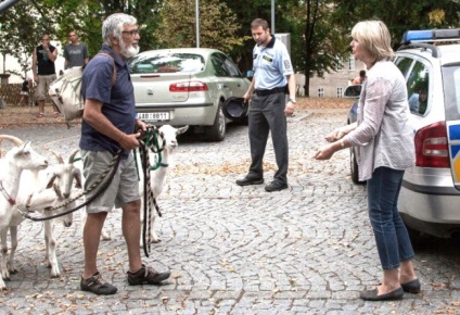 13 filmet mindazoknak, akik szeretnének pihenni, és felejtsd el minden