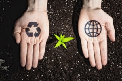 14 zöld üzleti ötletek környezetbarát üzleti
