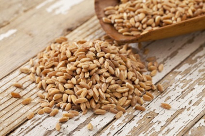 15 leghasznosabb gabonafélék