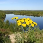 5 Napok Alakurtti, szabadidő ruházat (védők a szovjet Arctic) 5 Napok Alakurtti, szabadidő ruházat