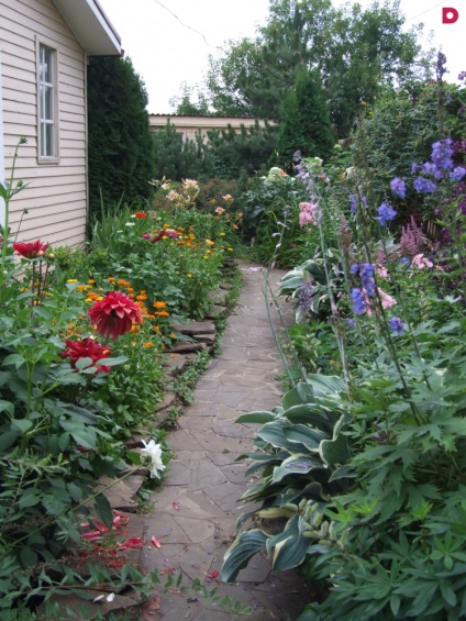 6 Ways, hogy egy kis kert vizuálisan Több