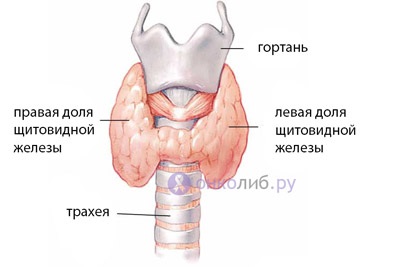 toxikus adenoma tünetei Prostatitis és arany bajusz