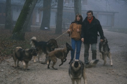 Alain Delon (blog) Alain Delon