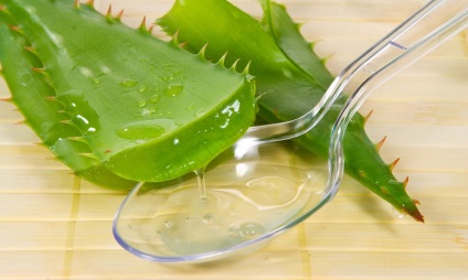 Aloe prostatitis kezelést, és receptek