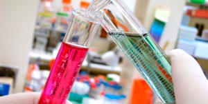 Az atópiás dermatitis kutyák és a macskák, valamint (cat) Atópiás dermatitis kutyák és macskák, valamint