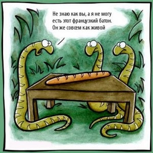 A kígyó megy hazudik! (Viccet a kígyó) A kígyó megy hazudik!