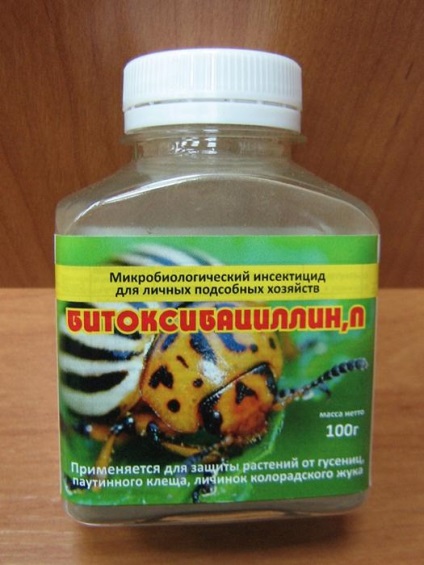 Butterfly galagonyalepke és a rá adott válasznak - az életem (intézkedések) Butterfly galagonyalepke és a rá adott válasznak - az életem