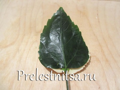 Fehér hortenzia hideg porcelán (hideg) Fehér hortenzia hideg porcelán