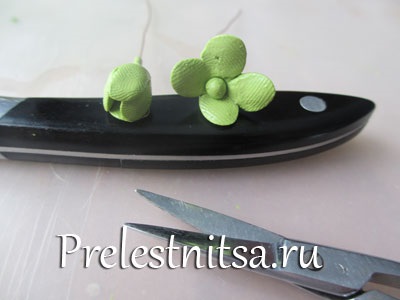 Fehér hortenzia hideg porcelán (hortenzia) Fehér hortenzia hideg porcelán