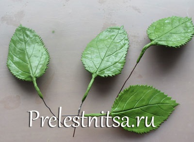 Fehér hortenzia hideg porcelán (porcelán) Fehér hortenzia hideg porcelán