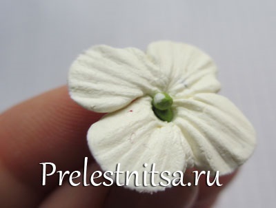 Fehér hortenzia hideg porcelán