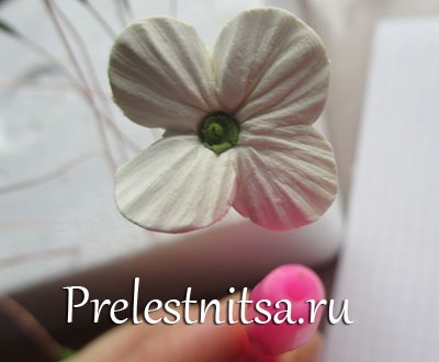 Fehér hortenzia hideg porcelán (porcelán) Fehér hortenzia hideg porcelán