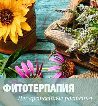 Kombucha fogyás - a szabályok és a titkot (alkalmazás) Kombucha fogyás - a szabályok és a titkok