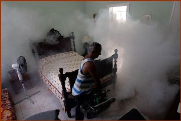 A fogantyú lapos bolhák ellen (a kimenet bolhák, mint kezelni a lakás a lakás bolhák bolhák a lakásban is van, mint a méreg bolhák a lakásban) A folyamat a lakás bolhák