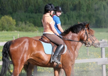 A hippoterápia van az ember számára hasznos (férfi) A hippoterápia hasznos az emberre