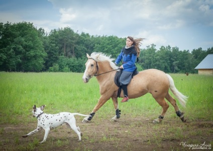 Mennyire hasznos lovaglás, lovasklub, istállók, lovak, lovas oktatás, lovaglás