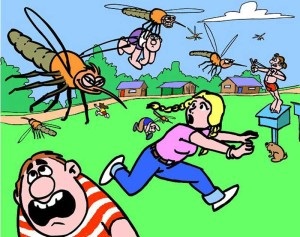 Eltávolítja a viszketés egy szúnyogcsípés