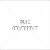 Arrow fokhagyma (fokhagyma nyilak) fokhagyma nyilak
