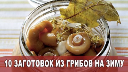 Fokhagyma nyilak (nyilak) fokhagyma nyilak