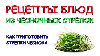 Fokhagyma nyilak (a nyilak a fokhagyma télen) fokhagyma nyilak