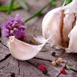 Fokhagyma tavaszi termesztés és karbantartása, mint a takarmány fokhagyma (rugós) Fokhagyma tavaszi termesztés és karbantartása, mint a takarmány a tavaszi fokhagyma