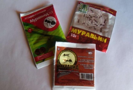 Mi a teendő, ha a lakás nemesített hangyák (hangyák a lakásban) Mi a teendő, ha a lakás nevelt hangyák