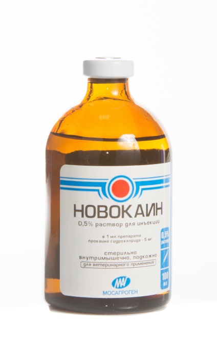 Mi a jobb, vagy macskagyökér afobazol (div & gt; uk-panel adatai-uk-rács-árrés & gt;) Mi jobb afobazol vagy macskagyökér