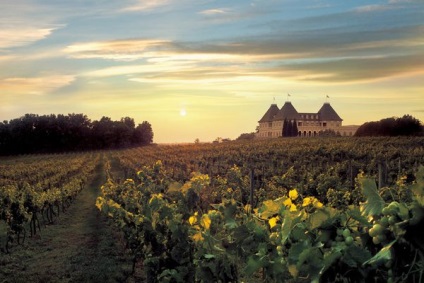 Mit jelent „chateau” a neve a bor (átlag) Mit jelent „chateau” a neve a bor