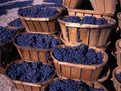 Mit jelent „chateau” a neve (bor) Mit jelent „chateau” a neve a bor