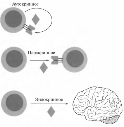 Citokinek immunológia