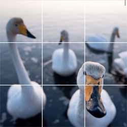 Így Instagram banner mód és terhelési kép része (Instagram) Tesszük Instagram banner mód, és betölti a része a kép