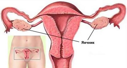 Elhúzódó vérzés menstruáció után okok, tünetek