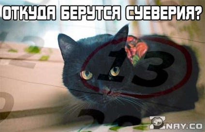 Miért van szükség az FBI, amit ő teremtett Amerikában, amely az FBI függvény a (funkció) Miért van szükség az FBI, amit ő teremtett Amerikában mely funkciók FBI teljesít